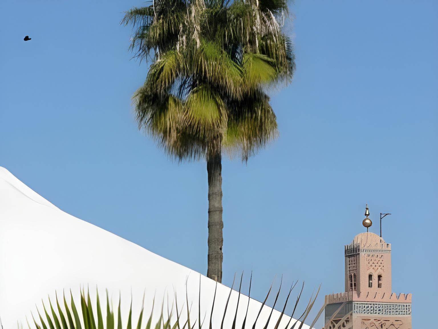 Riad Nafis - Riad traditionnel à Marrakech